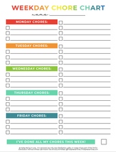 Load image into Gallery viewer, Summer Planner and Organizer